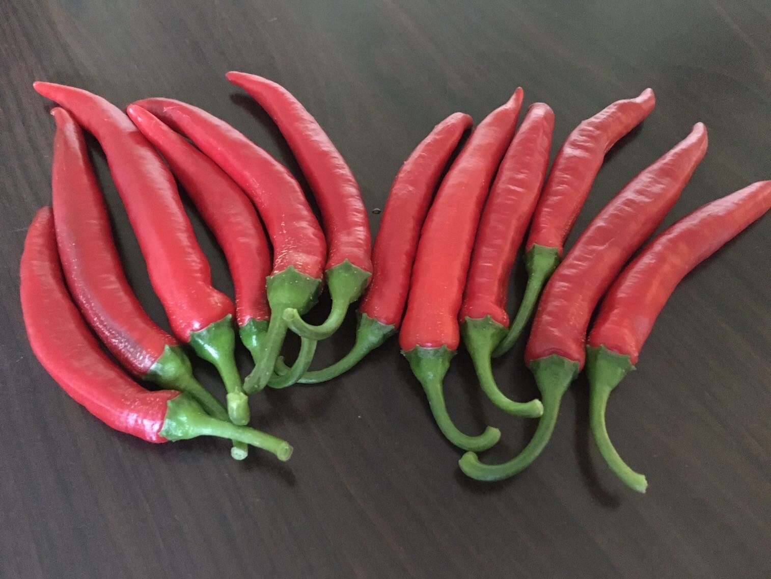 Fat Cayenne PepperSeeds -   20+ Hot Pepper Seeds
