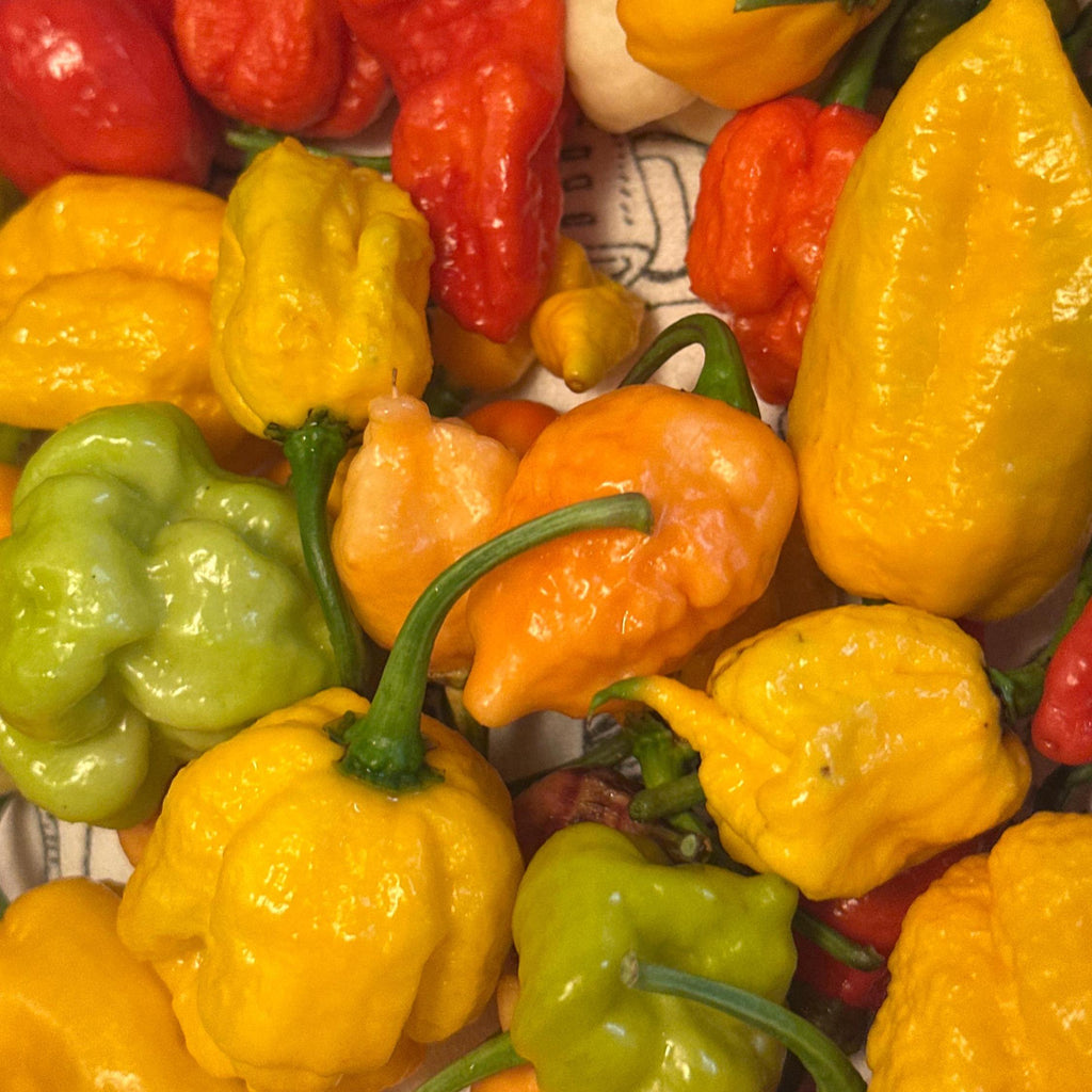 Mike’s Pepper Seeds Assorted colorful peppers including yellow, green, and red on a patterned fabric background