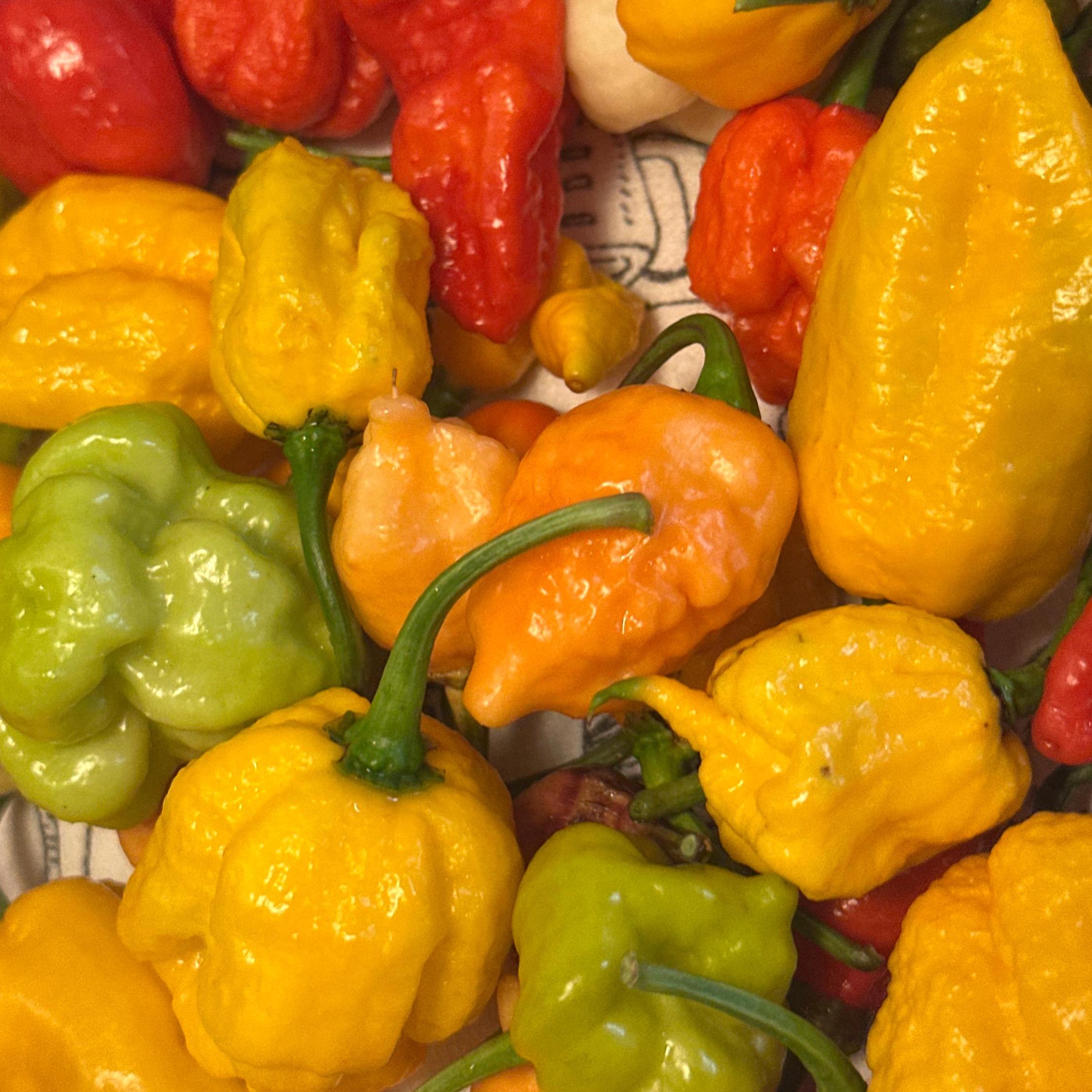 Mike’s Pepper Seeds Assorted colorful peppers including yellow, green, and red on a patterned fabric background