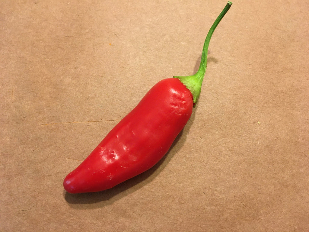 Big Inca Red Drop pepper Seeds -   20+ Pepper Seeds