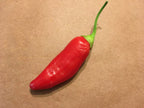 Big Inca Red Drop pepper Seeds -   20+ Pepper Seeds